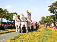 월출산국화축제