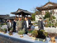 월출산 국화축제 현장점검