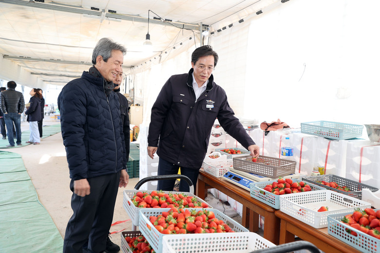 도포면 봉호리 딸기재배농가 방문 이미지 3