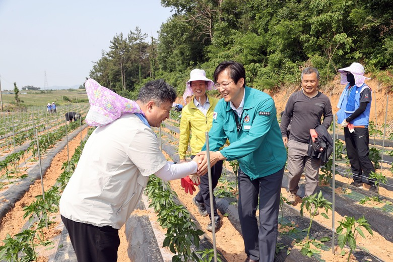현대삼호중공업 임직원 도포면 일손돕기 현장방문 이미지 1