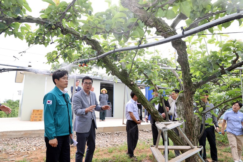 시종면 과수분야 노지스마트팜 조성현장 방문 이미지 1