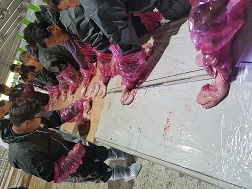 왕인농업대학(7.10)현장실습 이미지 3