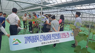 지역특화품목현장컨설팅(샤인머스켓)교육(7.25) 이미지 4