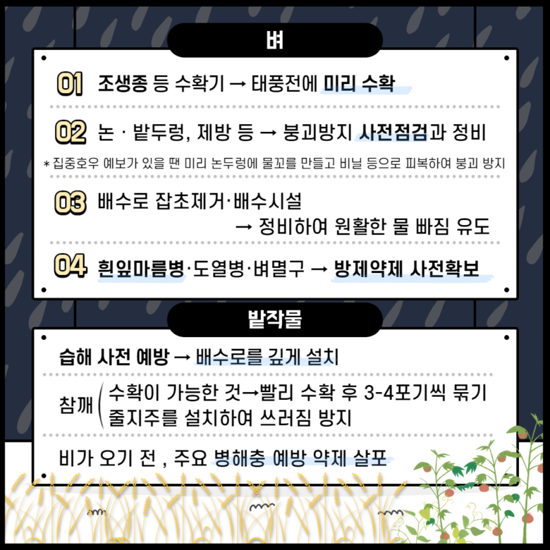 태풍 마이삭 대비 식량작물 관리요령 이미지 3