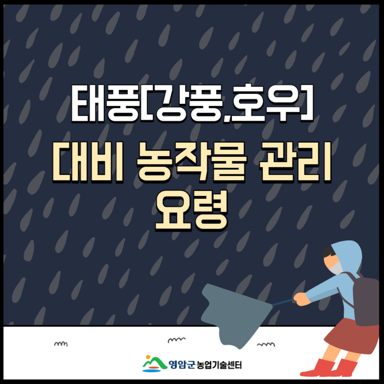 태풍 마이삭 대비 식량작물 관리요령 이미지 1