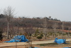 영암군, 나무은행 운영...예산절감 효과 ‘톡톡’