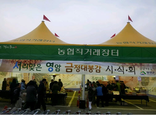 영암군, 대봉감 판로개척 팔 걷었다. 이미지 2