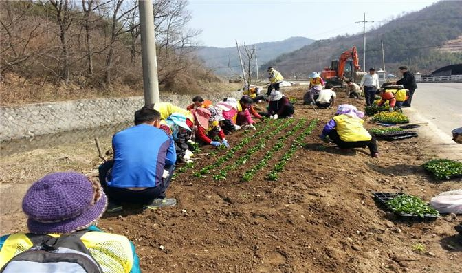 주요도로변 가로화단 및 화분 봄꽃식재 이미지 1