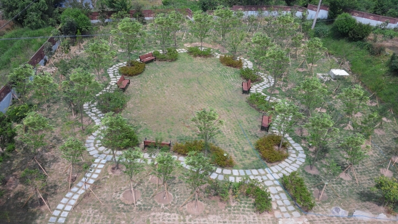 영암군, 녹색 복지 숲 조성완료 이미지 1