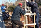 영암군 수목관리전문작업단 한파 대비 수목 보호 월동 작업