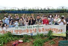 영암에서, 서울 초등학생 또 다른 식량 ! 감자와 옥수수 만나다