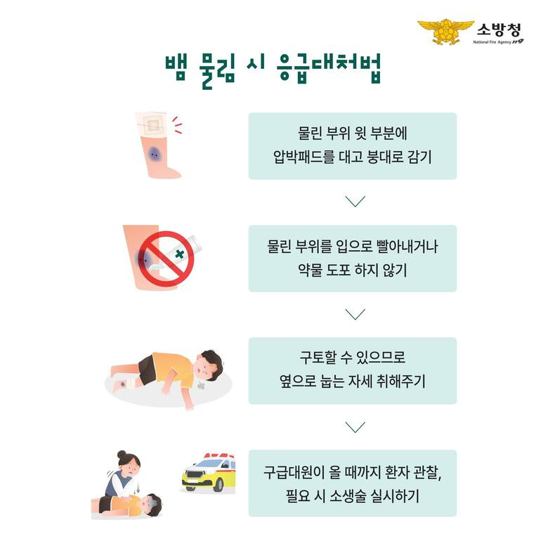뱀에 물렸을 때, 꽉묶거나 입으로 빨아내기 절대 금지 이미지 2