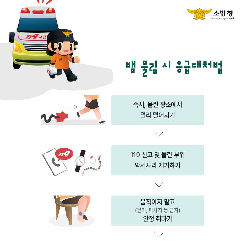 뱀에 물렸을 때, 꽉묶거나 입으로 빨아내기 절대 금지 이미지 1