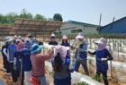 농번기 영암군 곳곳 농가서 일손돕기 행렬 이어져