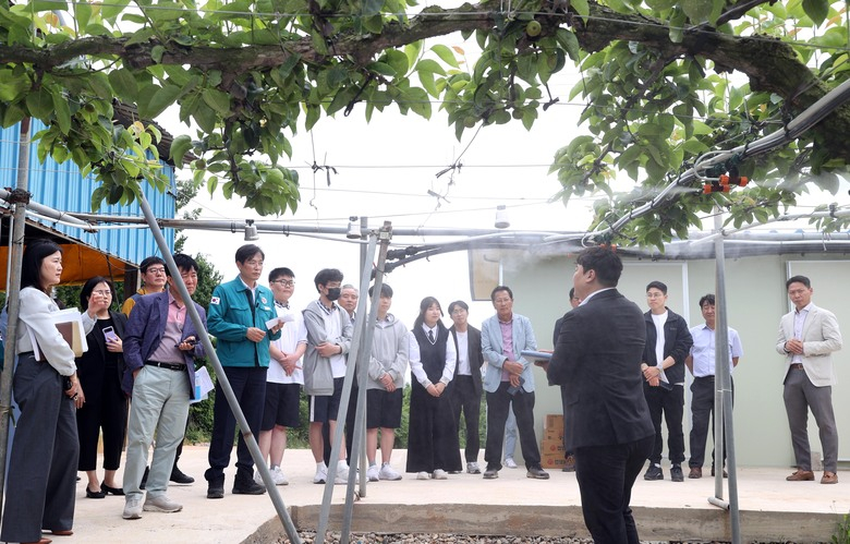 노지 스마트팜에서 첨단 기술로 재배하는 영암 배 이미지 1
