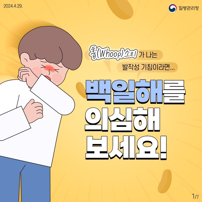 유행 중인 백일해 예방접종해 주세요 이미지 1