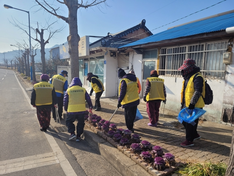 영암군, 2025년 노인일자리 참여 어르신 2,095명 모집 이미지 1
