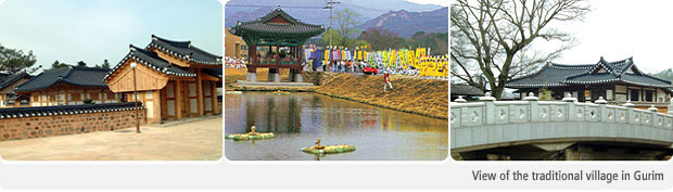 鳩林伝統村の全景