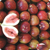 Fig