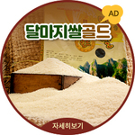 광고 - 달마지쌀골드 자세히보기(새창열림)