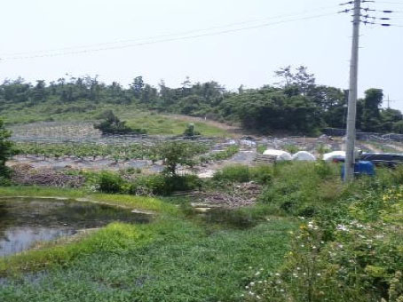 주변 정경