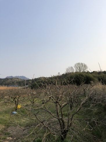 사용자등록이미지 1