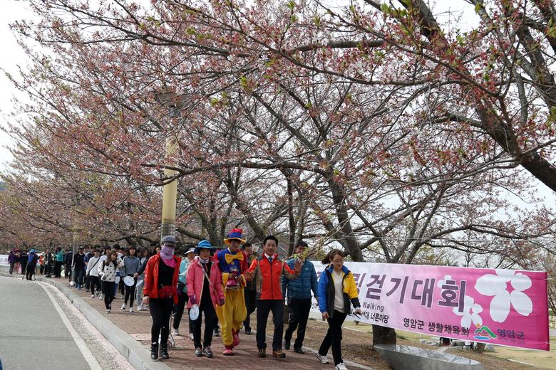 영암군, 12일 왕인문화축제 기념 건강걷기 대회 개최  이미지 1
