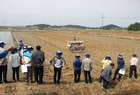 쌀 생산비절감을 위한 벼 무논점파 연시회 개최
