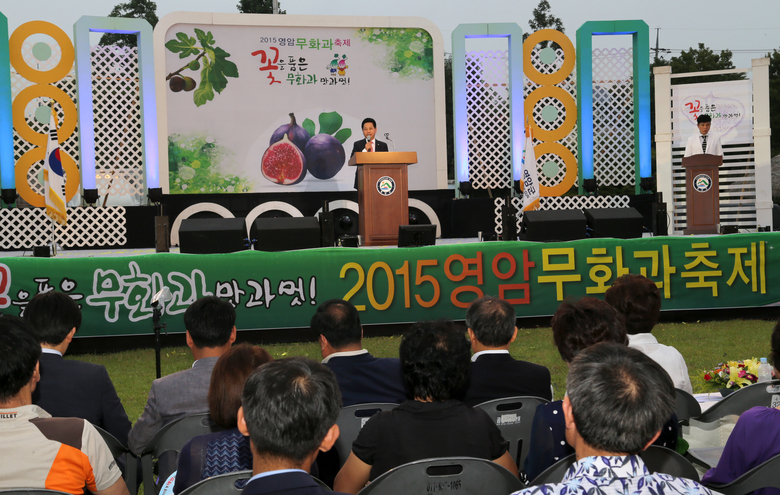 2015 영암군 무화과 축제 관광객들로 인산인해 이미지 2