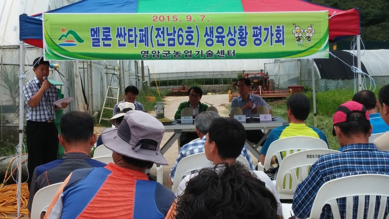 영암군 , 지역 대표브랜드 멜론 육성에 최선 이미지 1