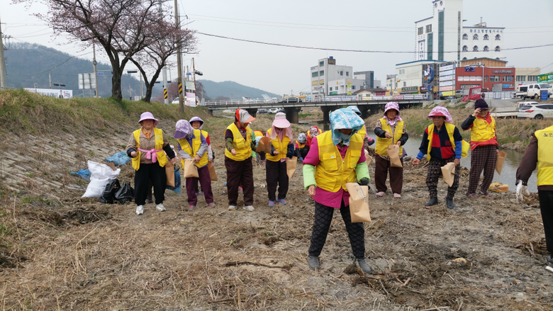 영암군, 독천낙지 테마거리 관광객 유치를 위한 이미지 2