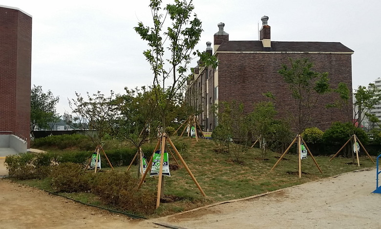 영암군, 삼호중앙초등학교 명상숲 조성 이미지 2