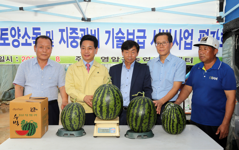 영암군 “산소농법” 신기술로 농가 소득 증대 이미지 2