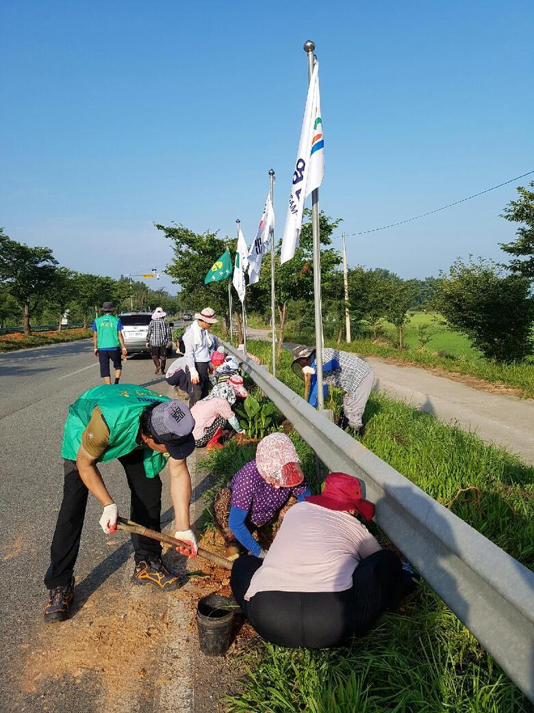 군서면, 쾌적한 가로경관조성 및 관광객 맞이 여름꽃 식재 ‘한창’ 이미지 1