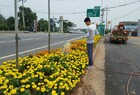 신북면, 가로 환경정비 통해 “폭염 극복”