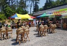 영암군 드림봉사단, 알찬 서비스 꾸려 연중 운영중