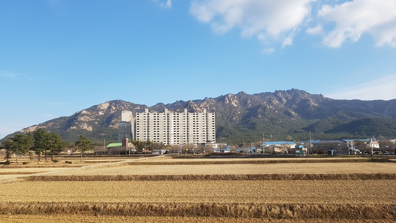 영암군 군서면 공사중단 임대아파트 국토부의 장기방치 건축물 예비선도사업 선정 이미지 1