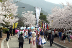 2018 영암왕인문화축제 준비 본격화‘영암 가즈아!’