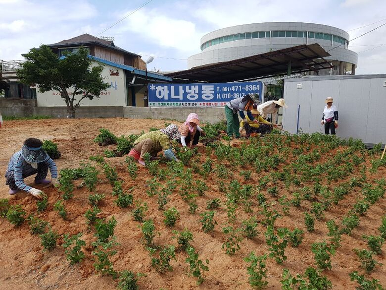 가을 축제 맞이 시가지정비 한창 이미지 2