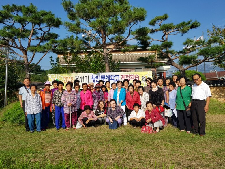 영암군, 왕인문해학교 현장 체험학습 실시 이미지 1